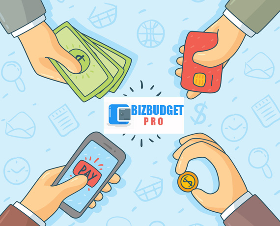 BizBudgetPro