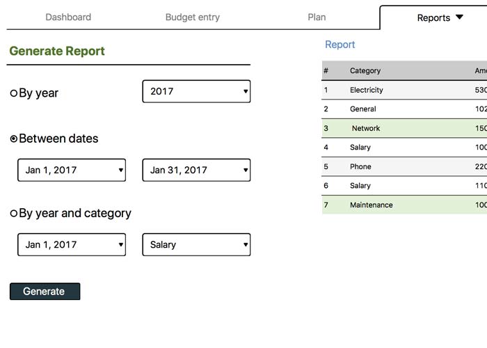 BizBudgetPro Report